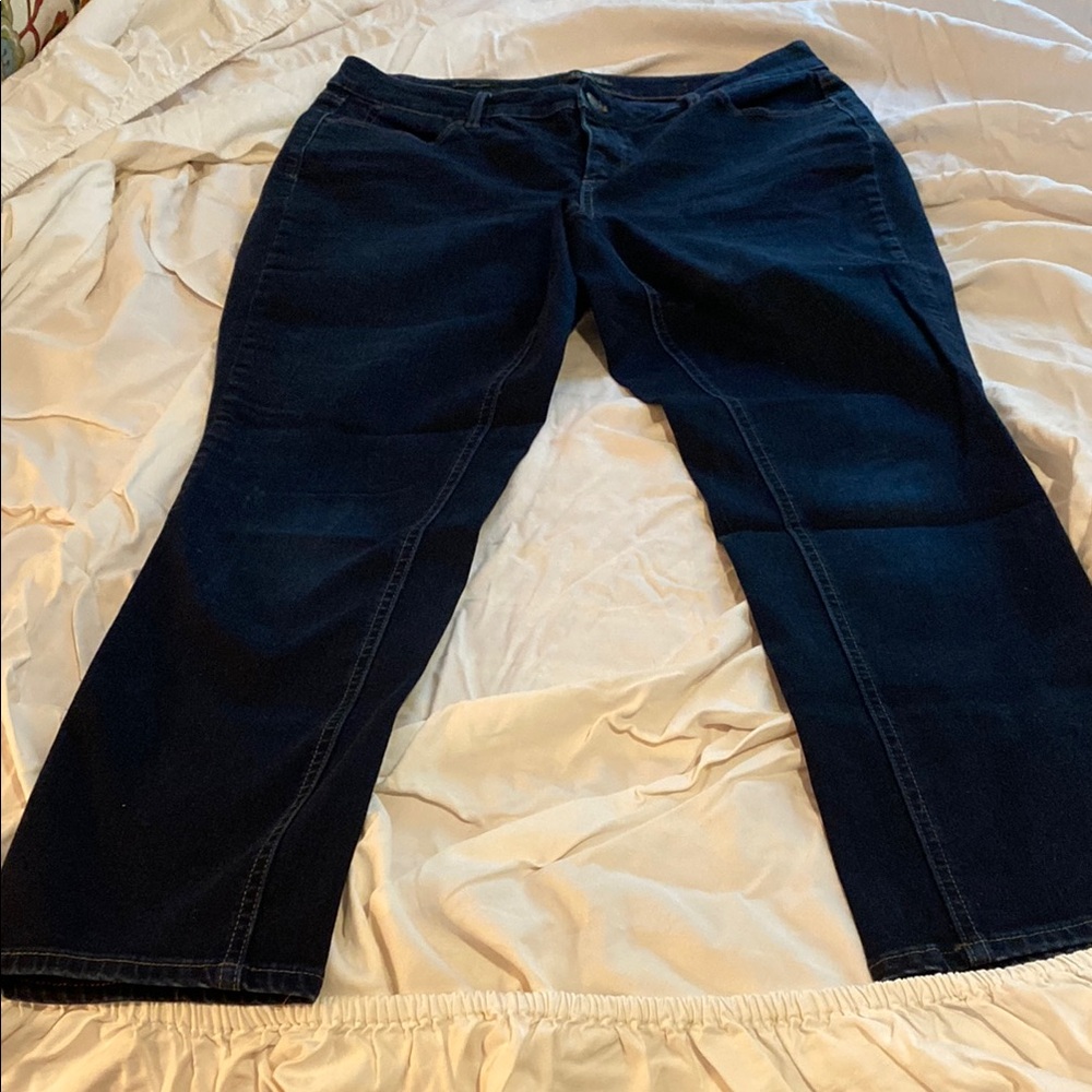 Talbots Blue Wide Leg Flare Jeans